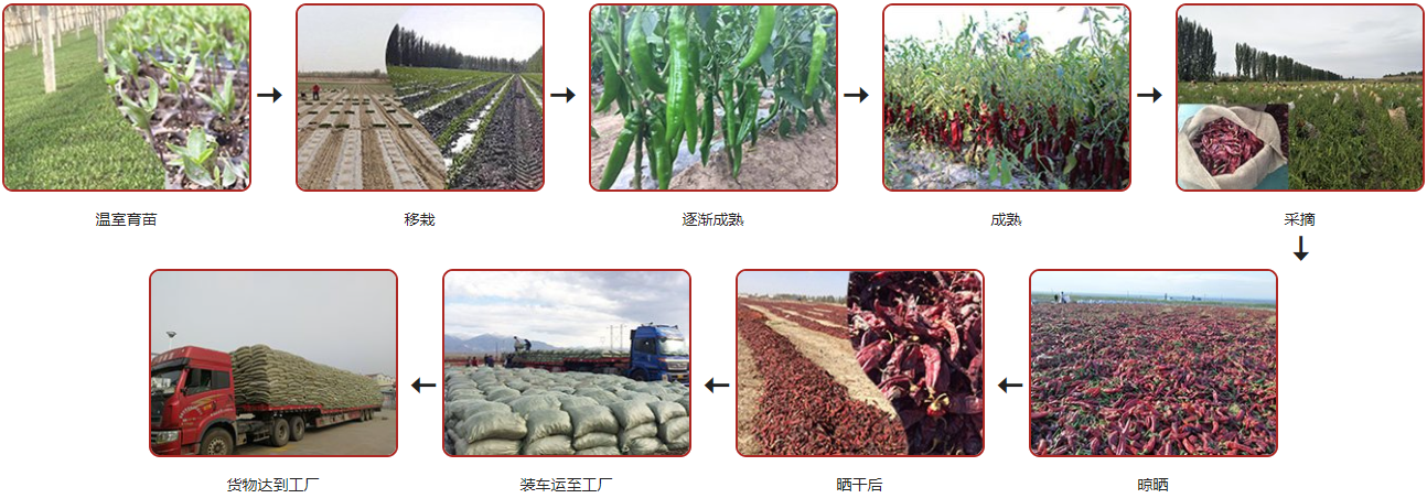 Qingdao Qiangda Foods Co., Ltd